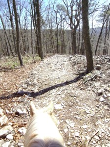 ????????????????????