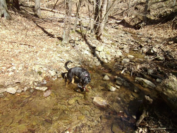 SANYO DIGITAL CAMERA