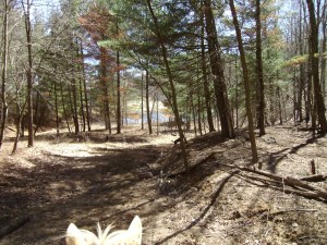 SANYO DIGITAL CAMERA