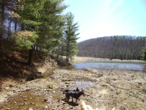 SANYO DIGITAL CAMERA