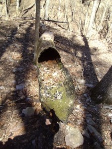 ????????????????????