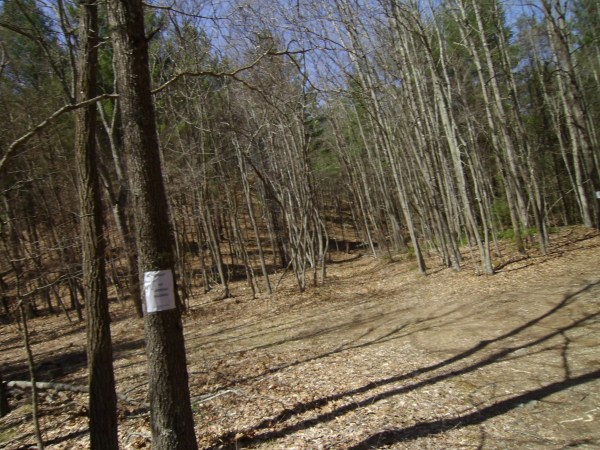 SANYO DIGITAL CAMERA