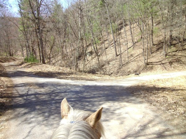 SANYO DIGITAL CAMERA