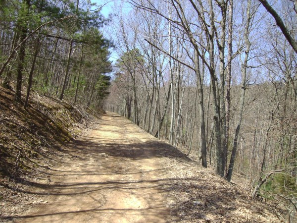 SANYO DIGITAL CAMERA