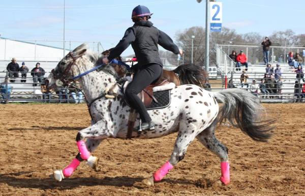 10172663_10153209227909289_3038230240500124576_n