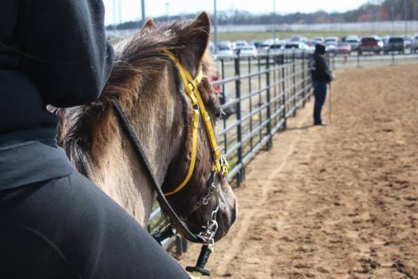 11102733_10153209233134289_4597434959568001665_n