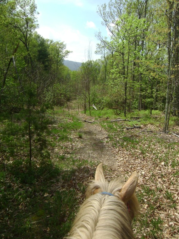 SANYO DIGITAL CAMERA