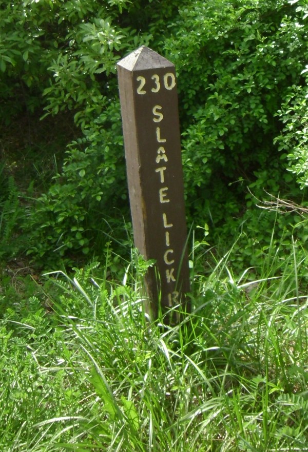 SANYO DIGITAL CAMERA