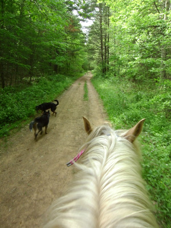 SANYO DIGITAL CAMERA