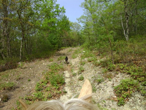 SANYO DIGITAL CAMERA