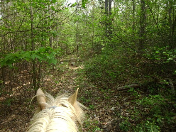 SANYO DIGITAL CAMERA