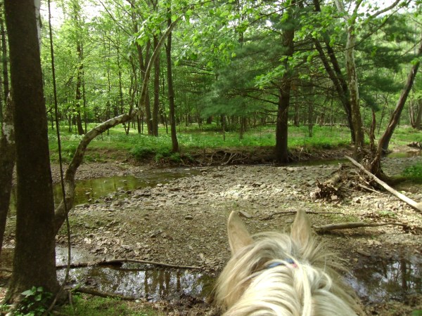 SANYO DIGITAL CAMERA