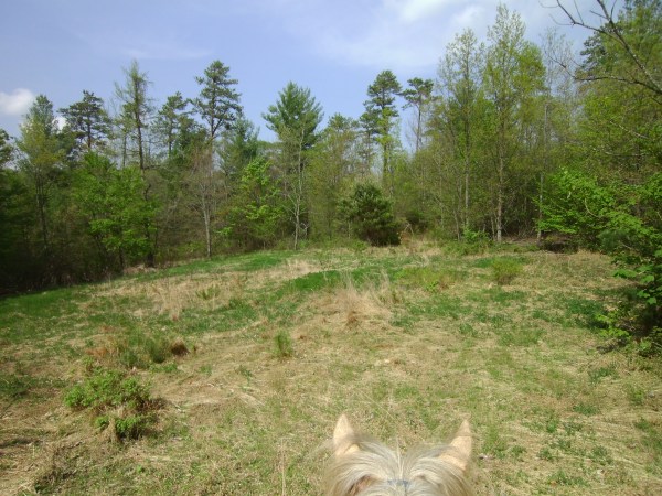 SANYO DIGITAL CAMERA