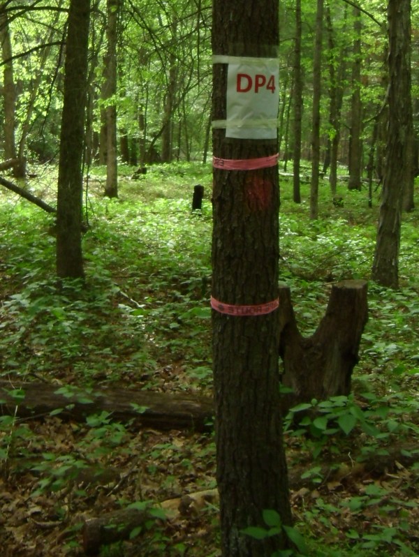 SANYO DIGITAL CAMERA