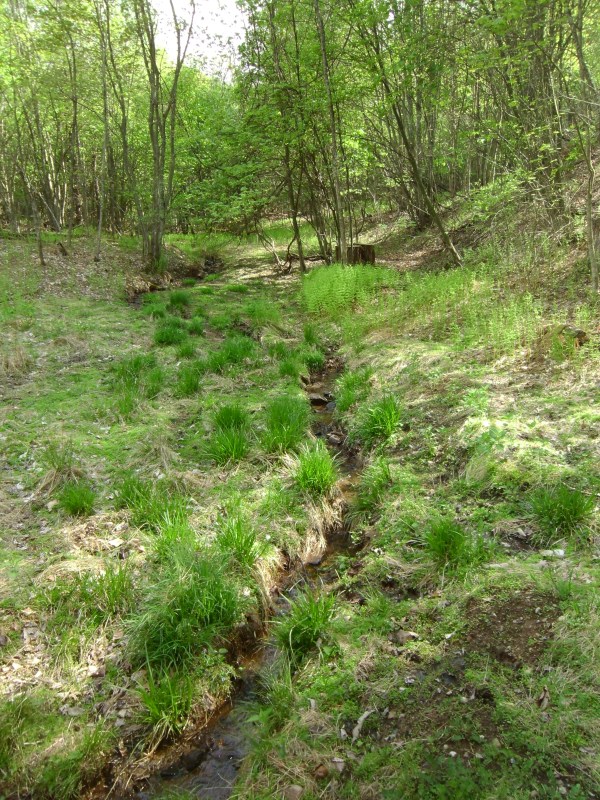 SANYO DIGITAL CAMERA