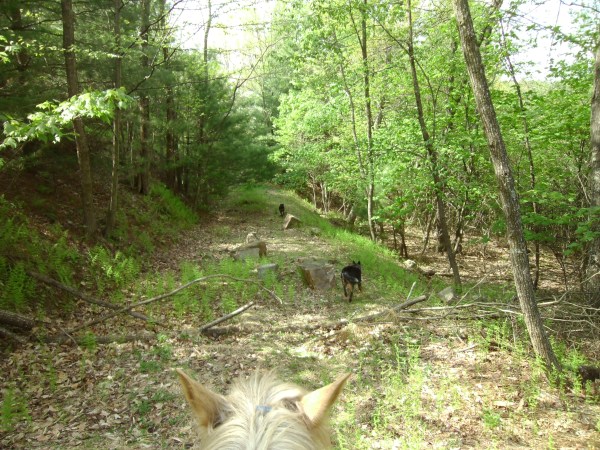 SANYO DIGITAL CAMERA