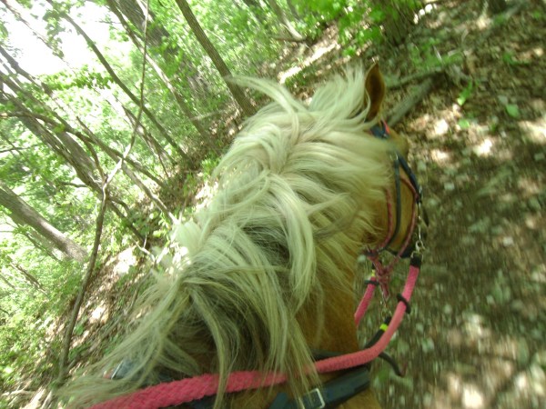 SANYO DIGITAL CAMERA