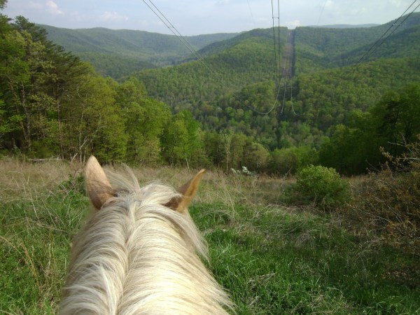 SANYO DIGITAL CAMERA