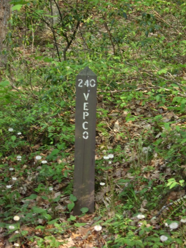 SANYO DIGITAL CAMERA