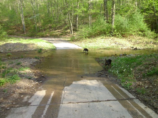 SANYO DIGITAL CAMERA