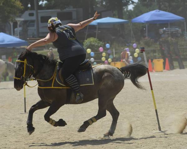 11265091_827411764183_2112211875845697010_n