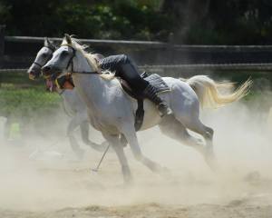 11863403_827411340033_3583667171737598036_n